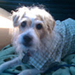 Meet your Posher, Darrell